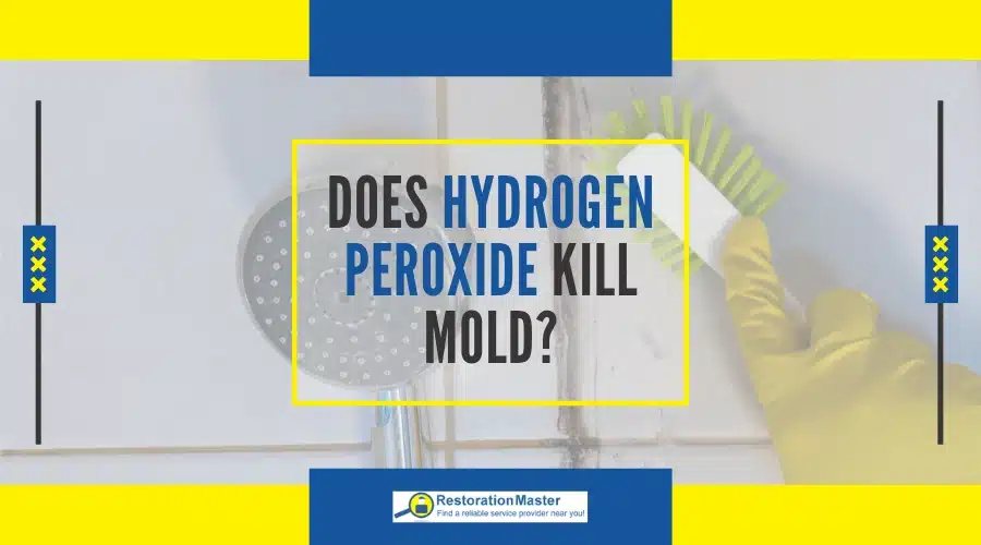 Does hydrogren peroxide kill mold?