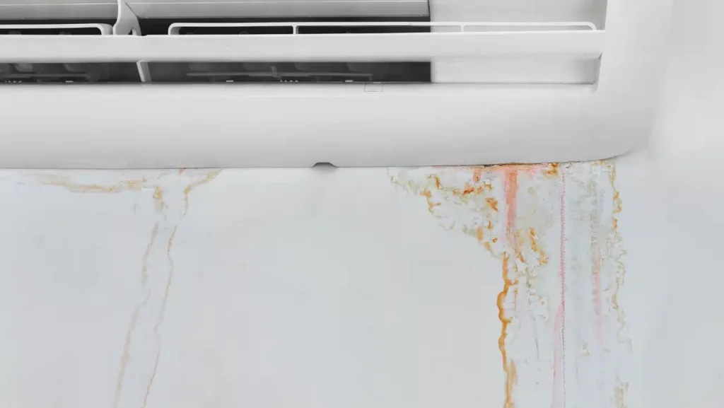 Ammonia for Severe Mold