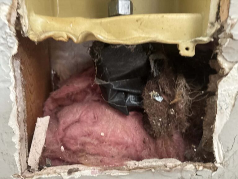 Drywall Repair & Paint