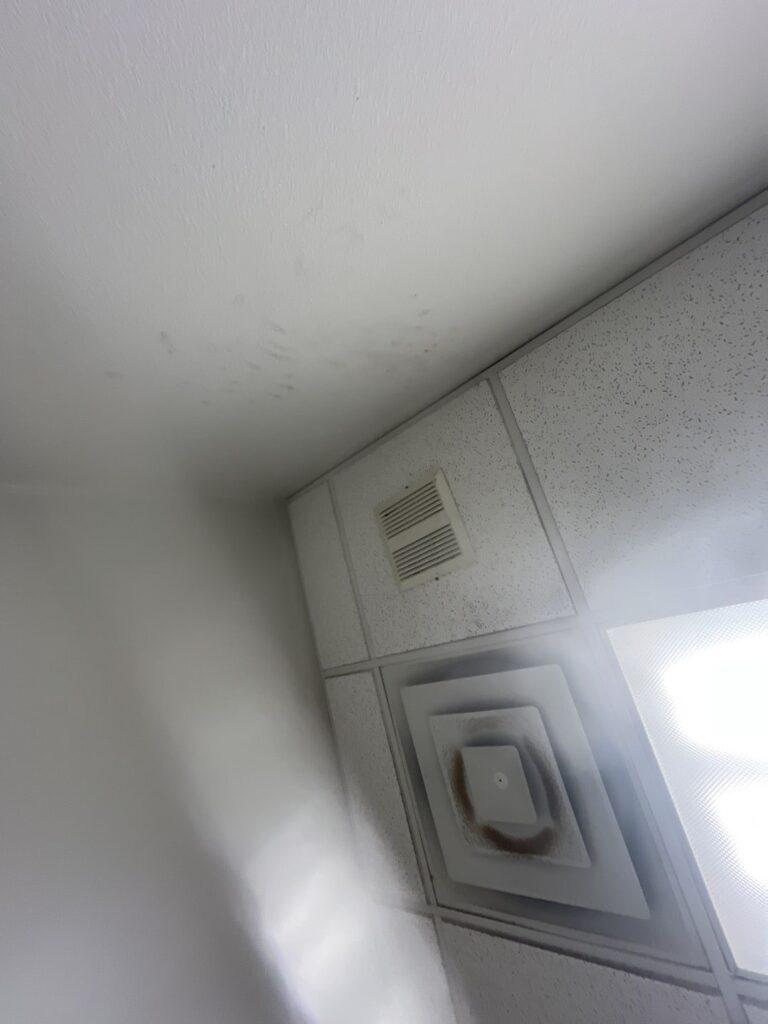 Exhaust Fan Replacement